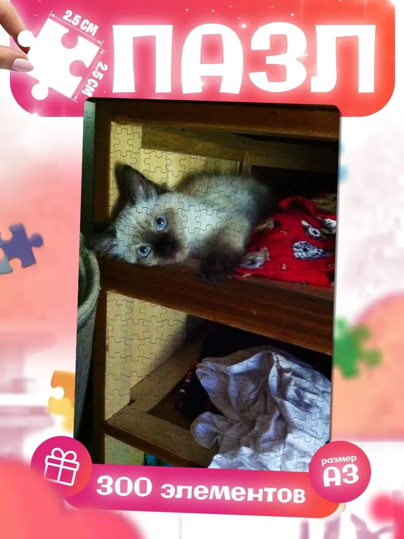 Пазлы Котёнок на полке