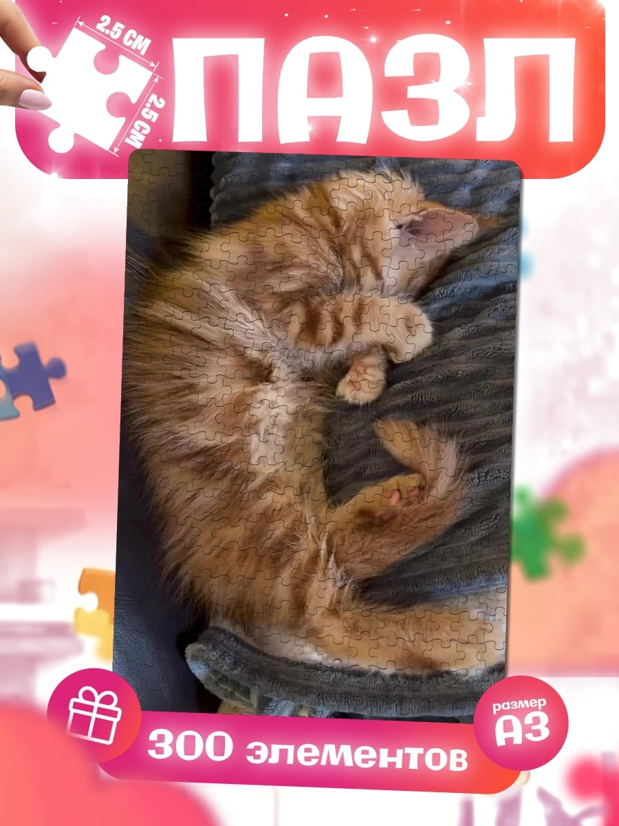 Пазлы Спящий рыжий кот