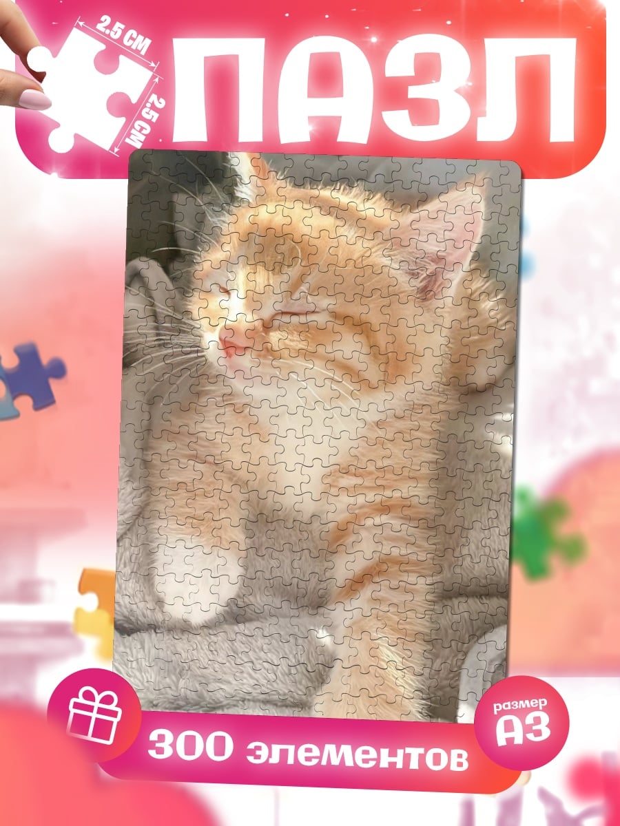 Пазлы Рыжий котенок спит