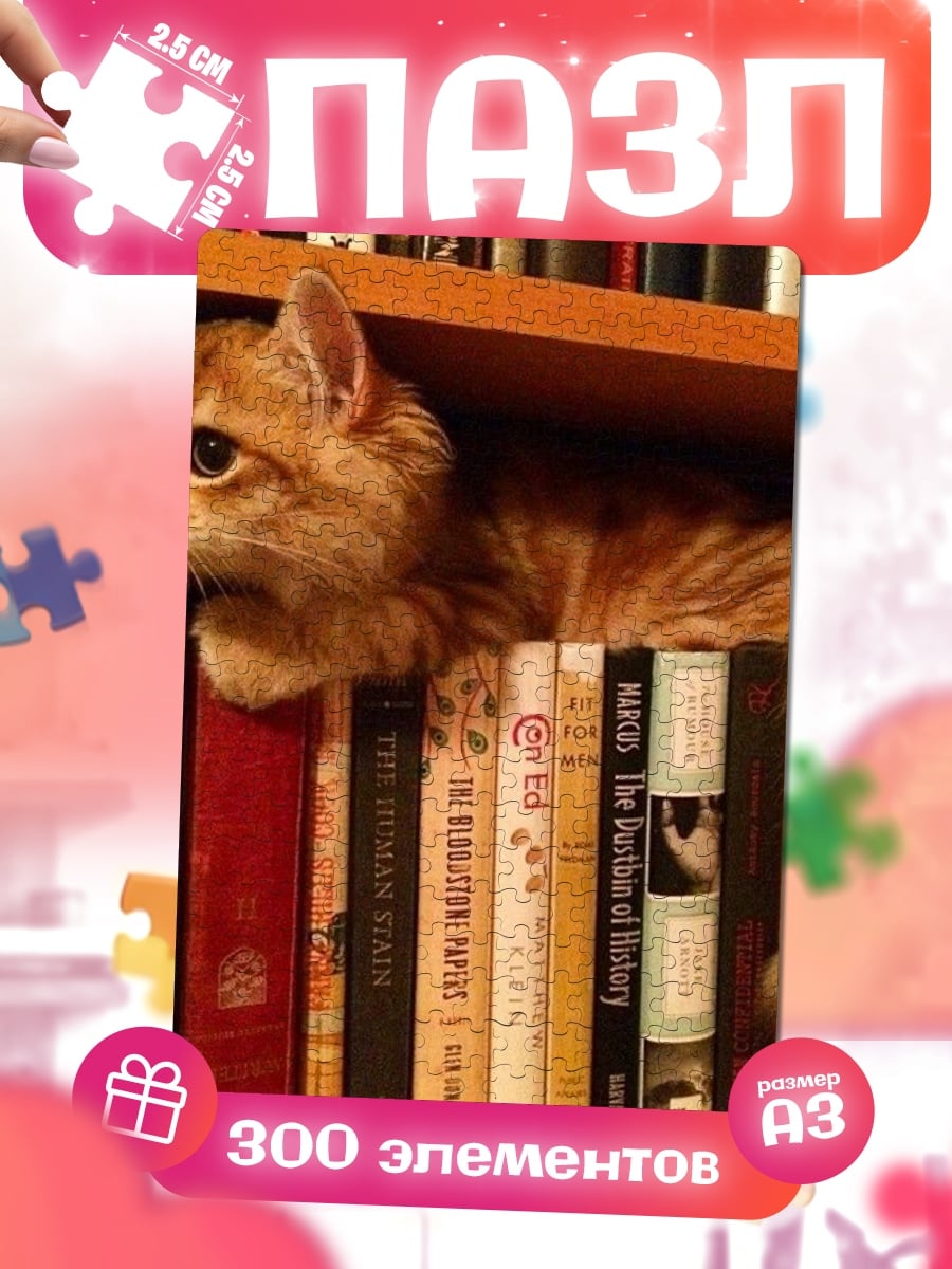 Пазлы Кот на книжной полке