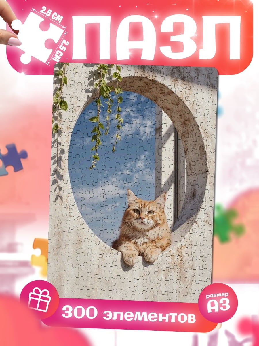 Пазлы Рыжий кот в окне