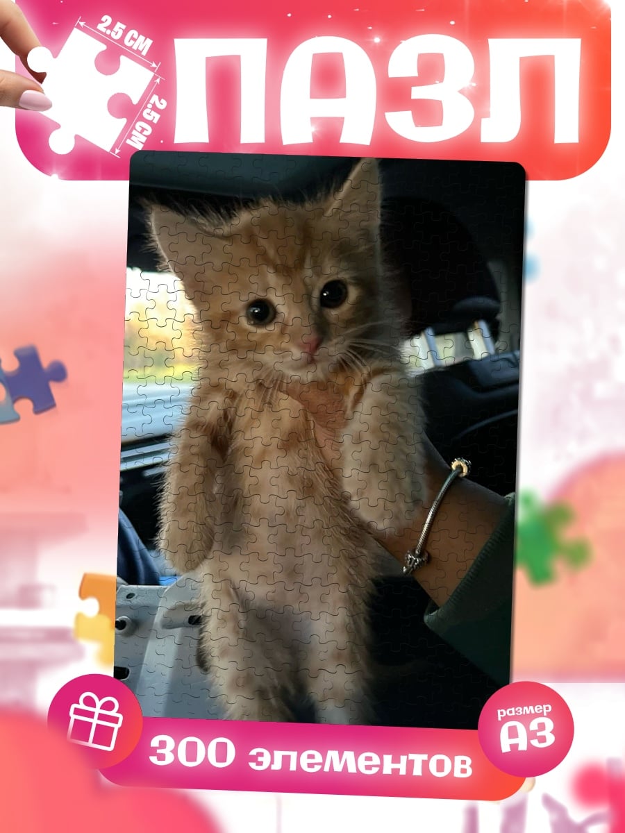 Пазлы Рыжий котенок