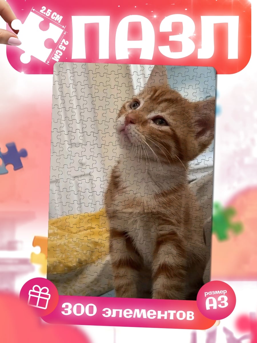 Пазлы Рыжий котенок