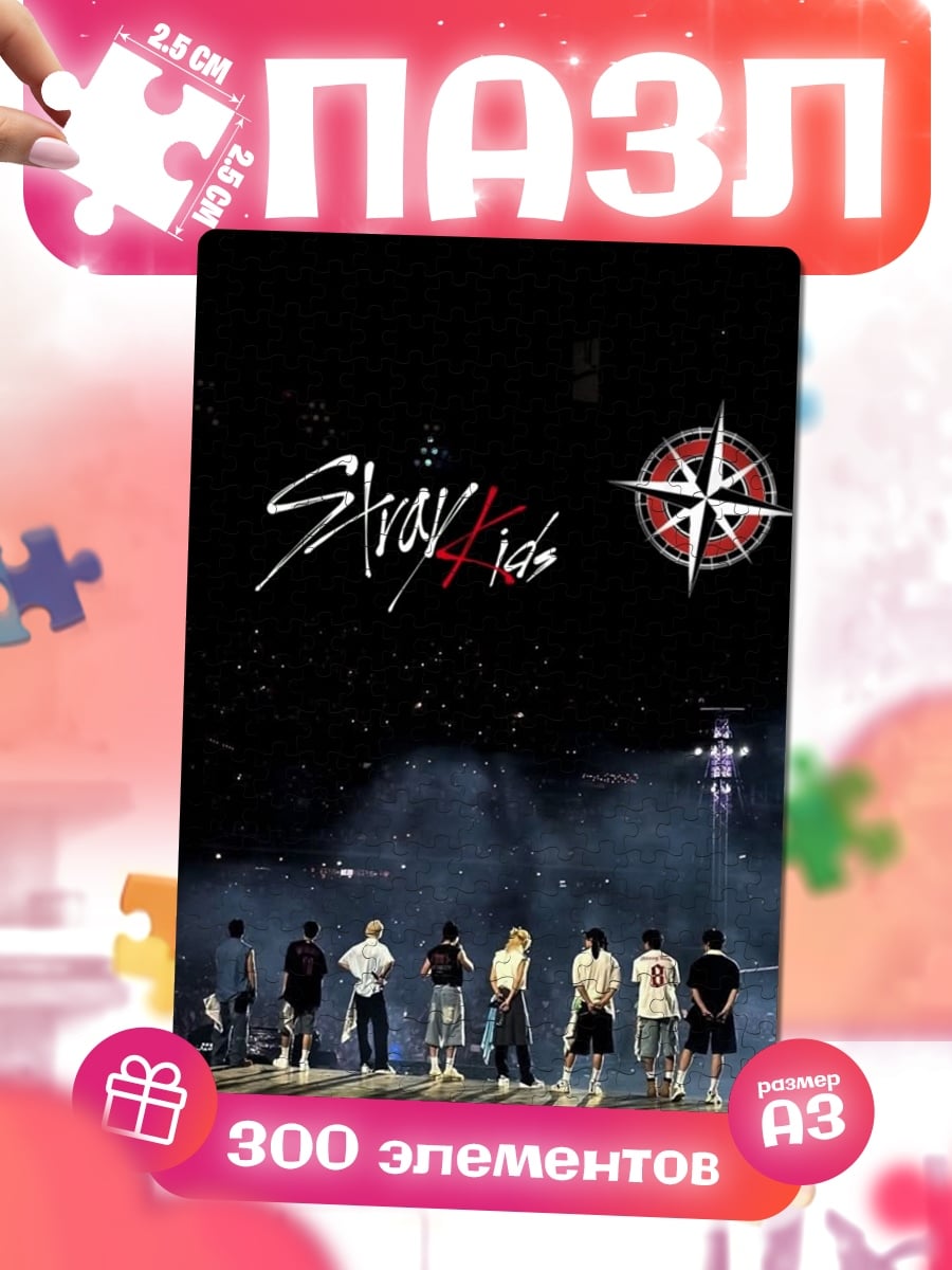 Пазлы Stray Kids концерт