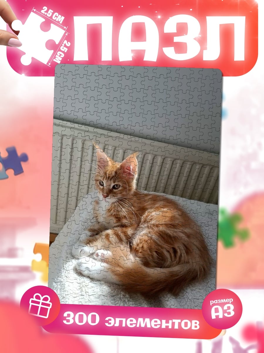 Пазлы Рыжий котенок греется