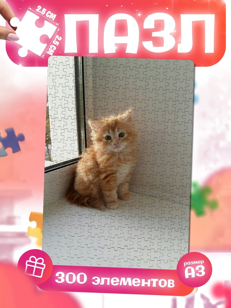 Пазлы Рыжий котенок у окна