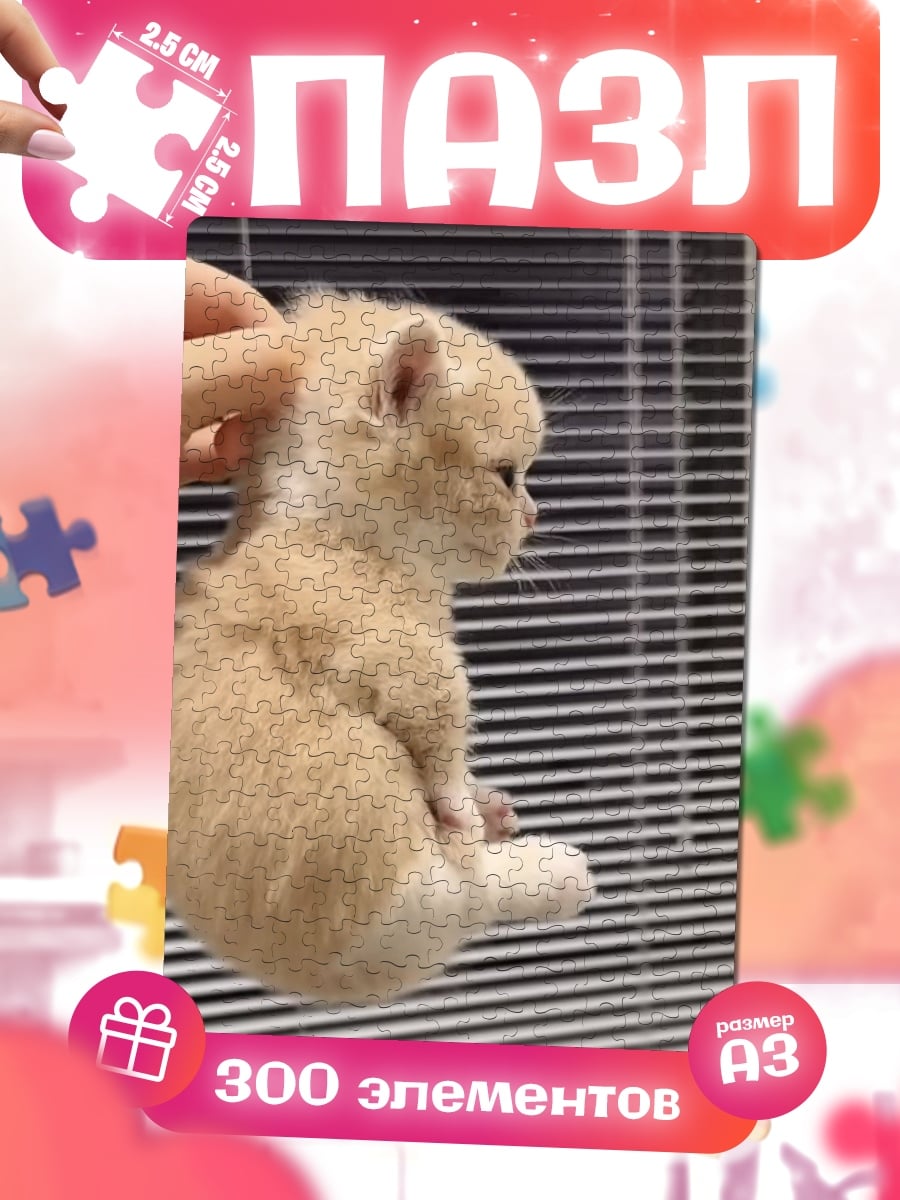 Пазлы Маленький котенок на руках