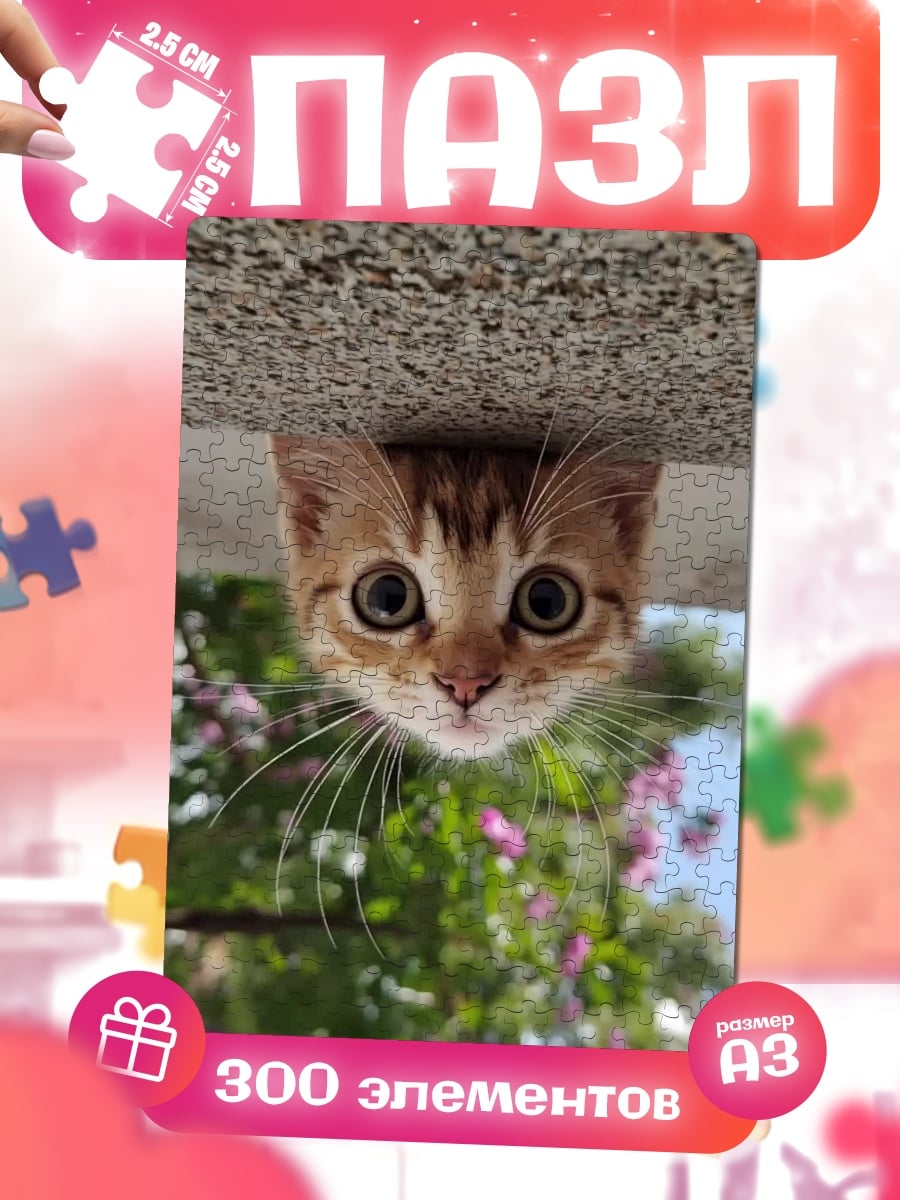 Пазлы Любопытный котенок
