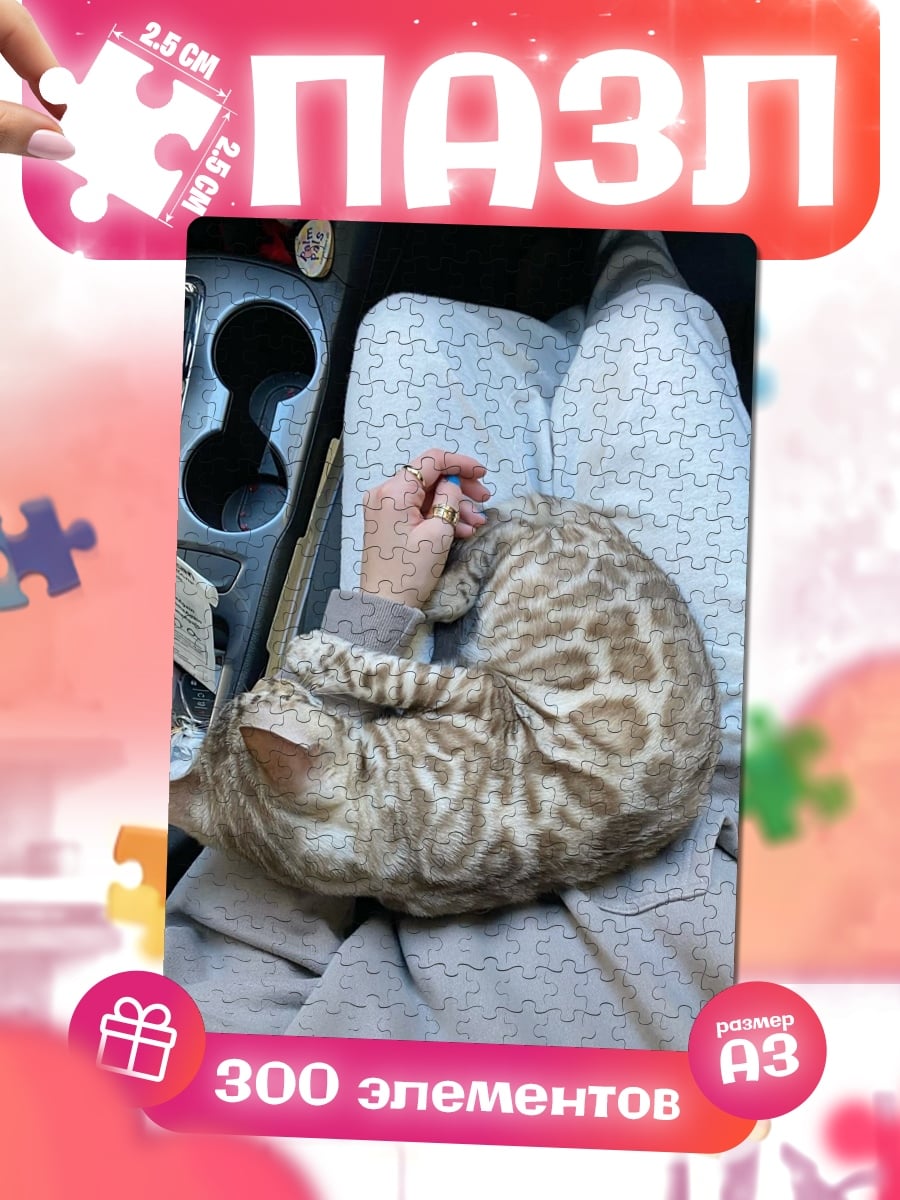 Пазлы Кот на коленях