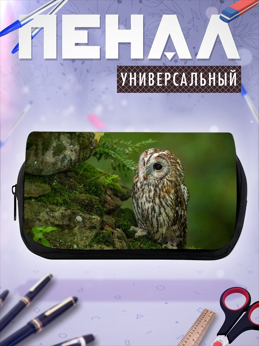 Пенал-косметичка Сова на камне