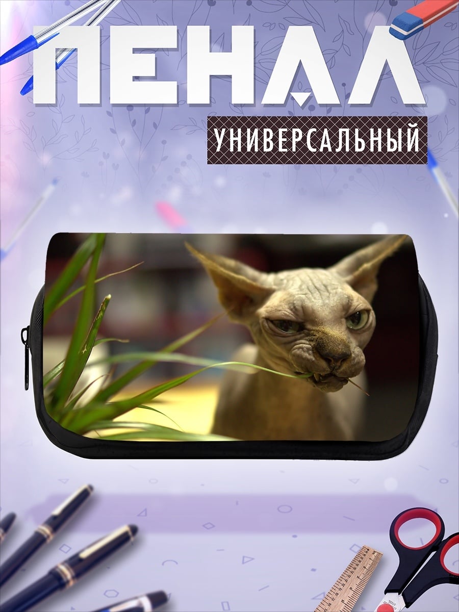 Пенал-косметичка Кот породы сфинкс