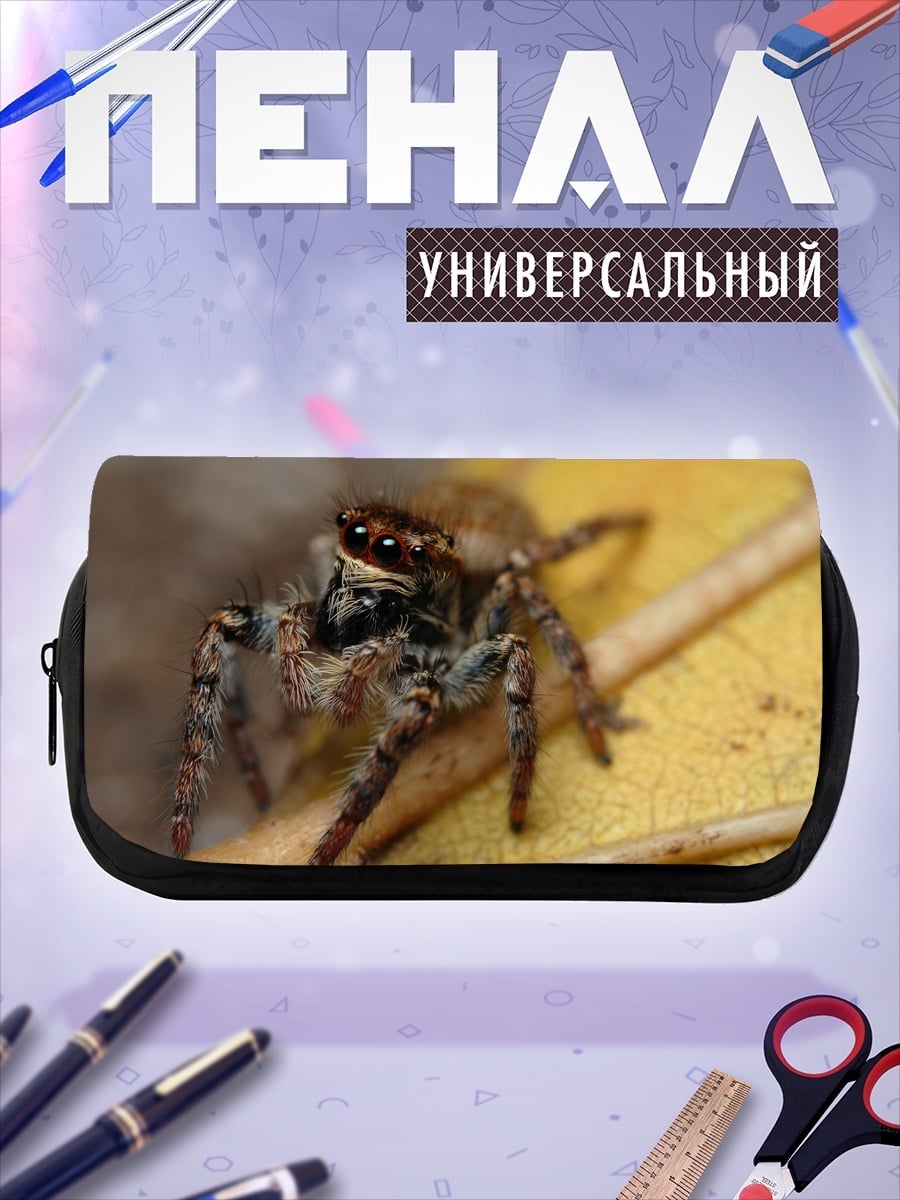 Пенал-косметичка Паук-скакун крупным планом
