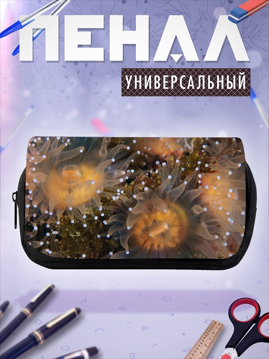 Пенал-косметичка морские анемоны подводный мир