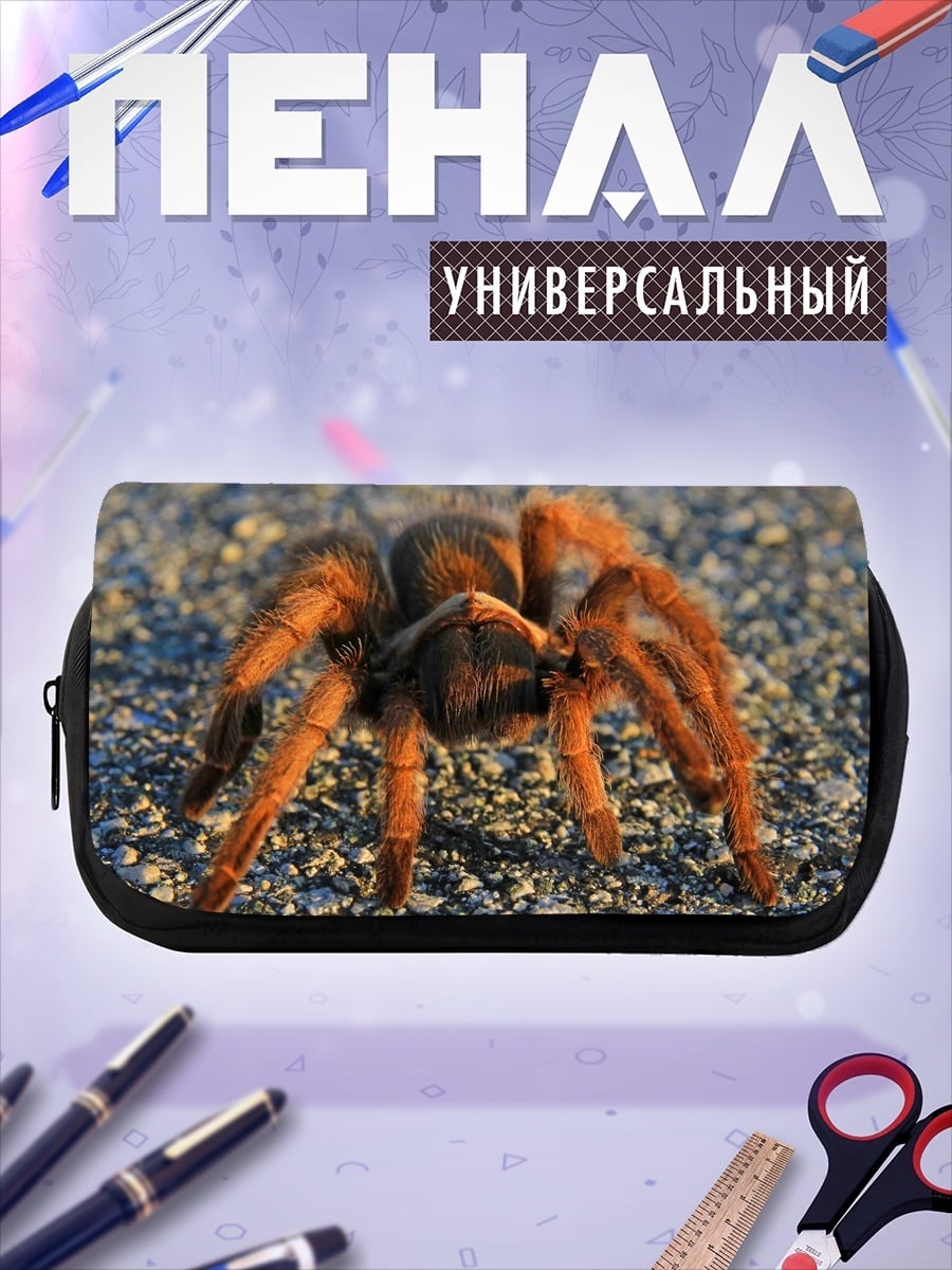 Пенал-косметичка Паук тарантул на земле