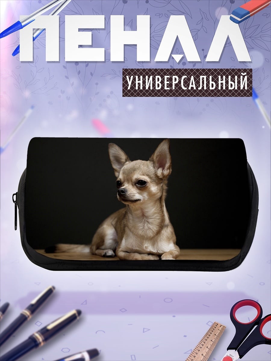 Пенал-косметичка Чихуахуа на полу
