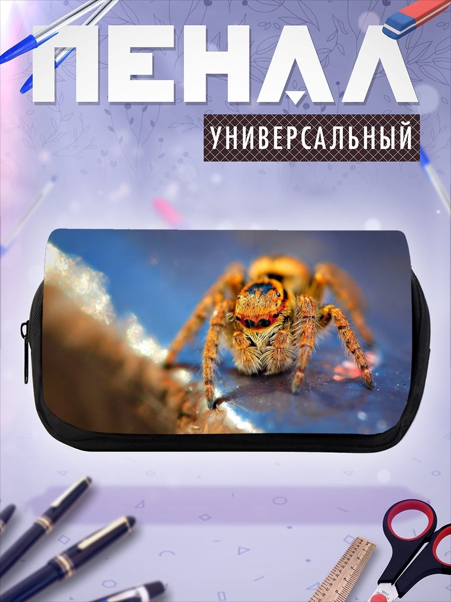 Пенал-косметичка Паук прыгун макро