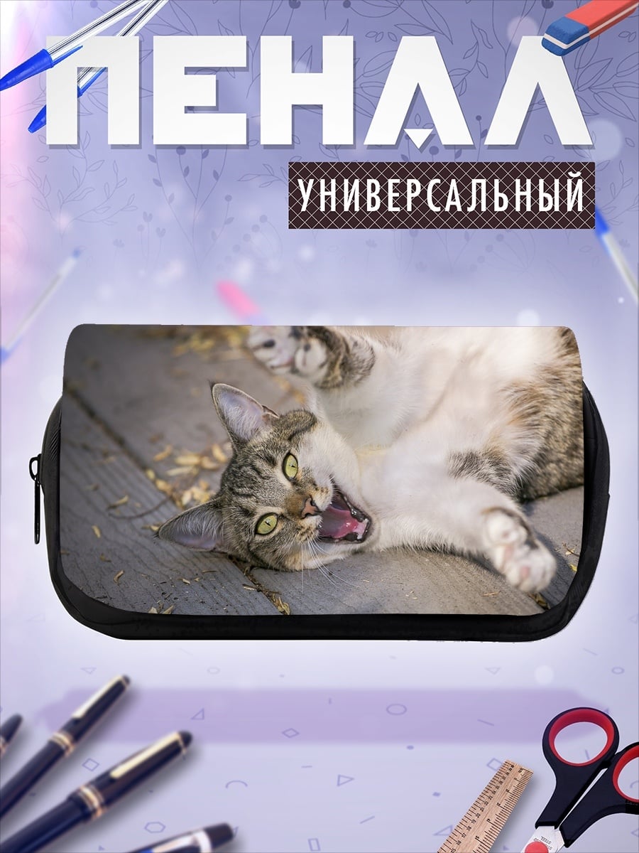 Пенал-косметичка Кот лежит на досках