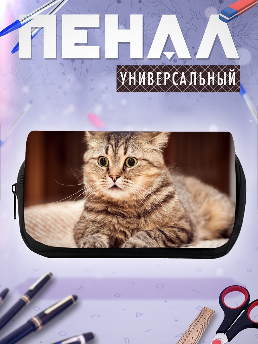 Пенал-косметичка Удивленный кот