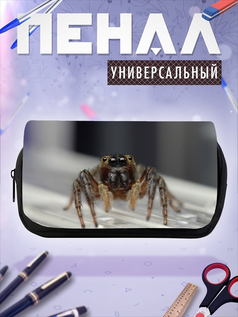 Пенал-косметичка Паук-скакун