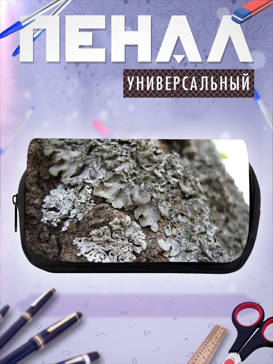 Пенал-косметичка лишайник на коре