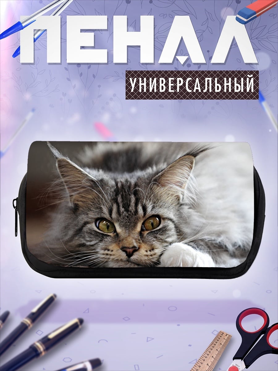Пенал-косметичка Пушистый кот Мейн-кун