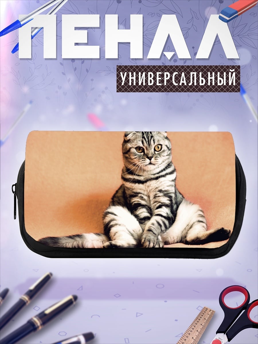 Пенал-косметичка Шотландский вислоухий кот