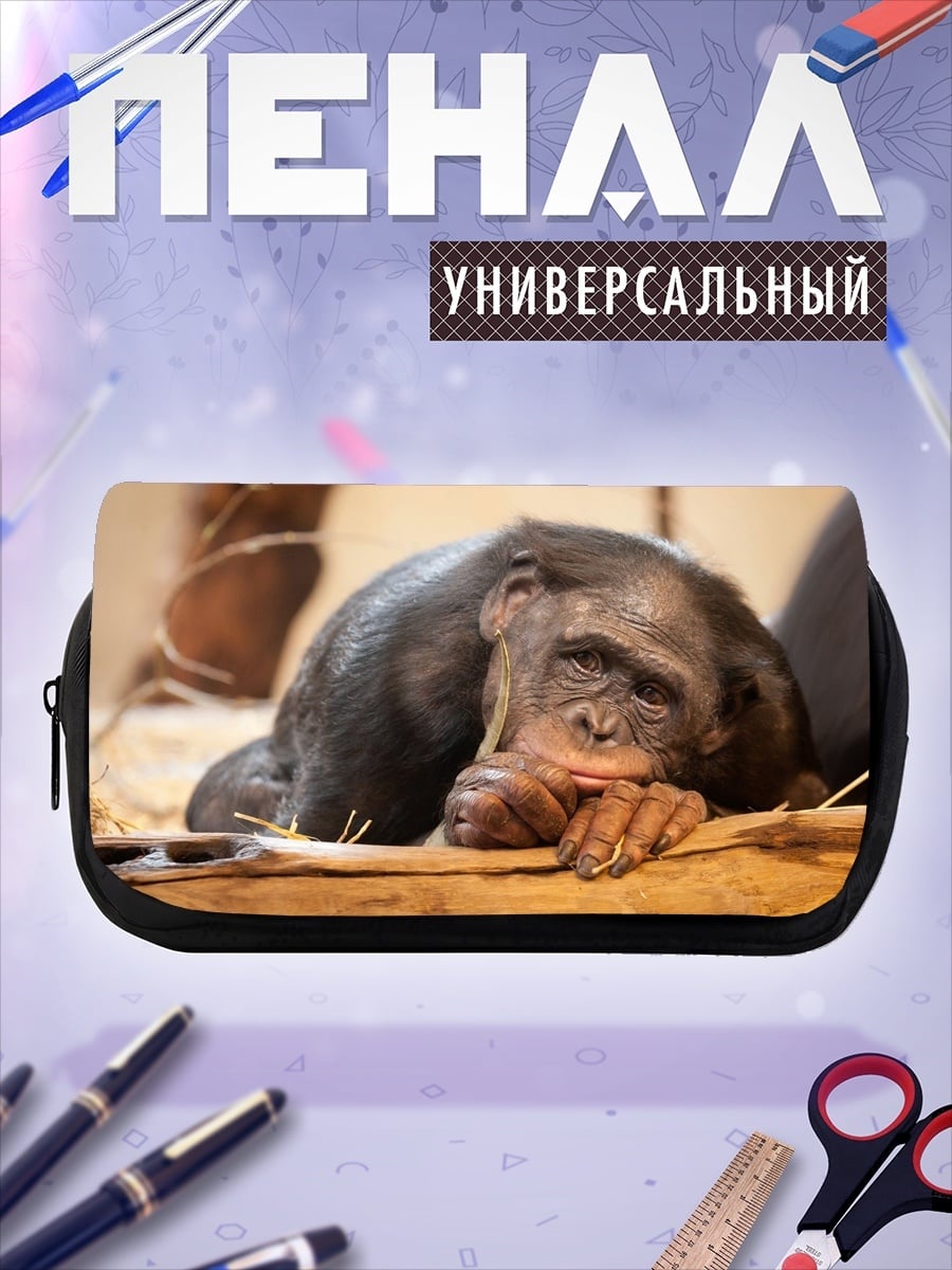 Пенал-косметичка Грустная обезьяна