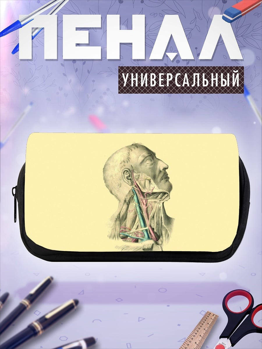 Пенал-косметичка Анатомия шеи человека
