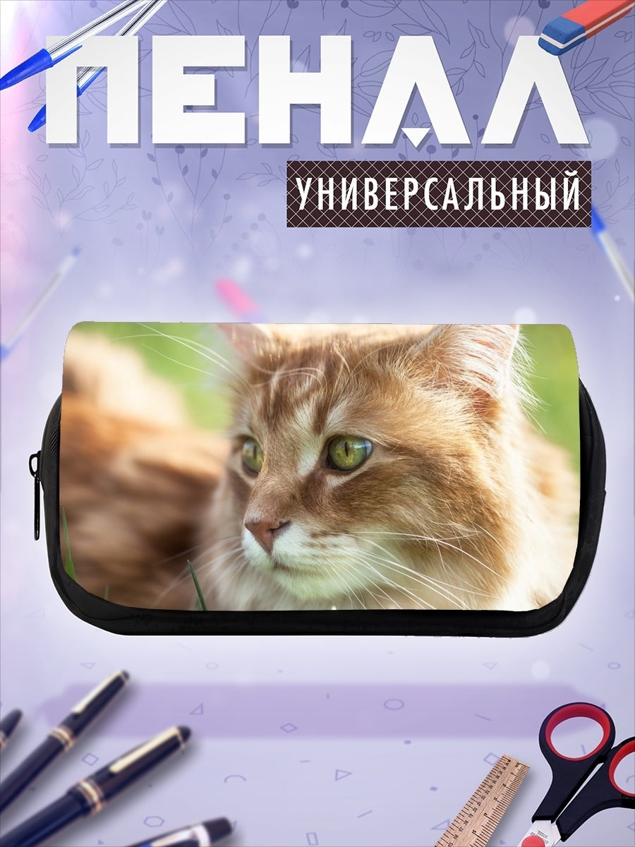 Пенал-косметичка рыжий кот
