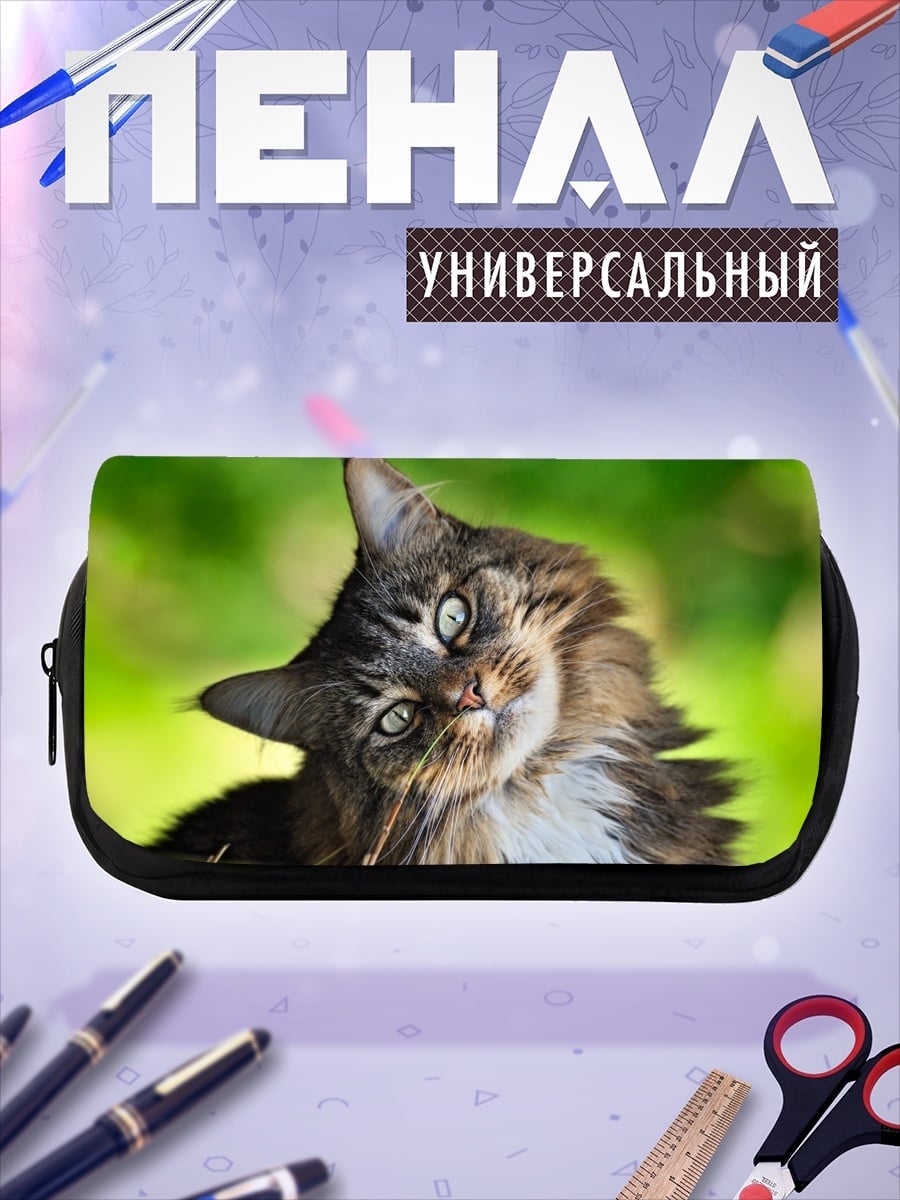 Пенал-косметичка Любопытный кот