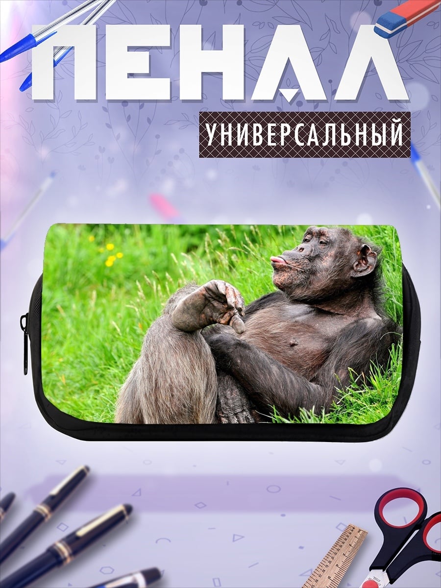 Пенал-косметичка Шимпанзе и бабуин
