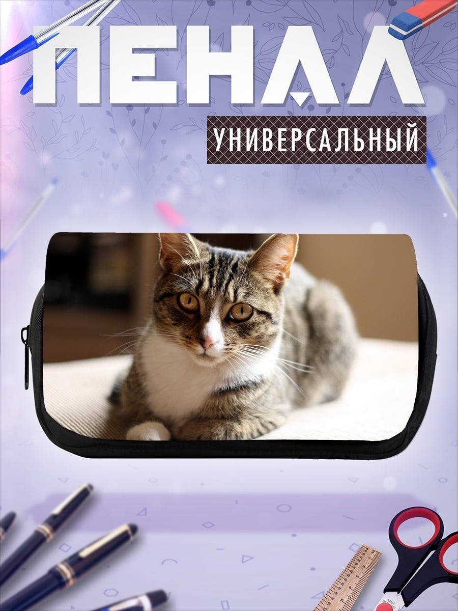 Пенал-косметичка Полосатый кот лежит