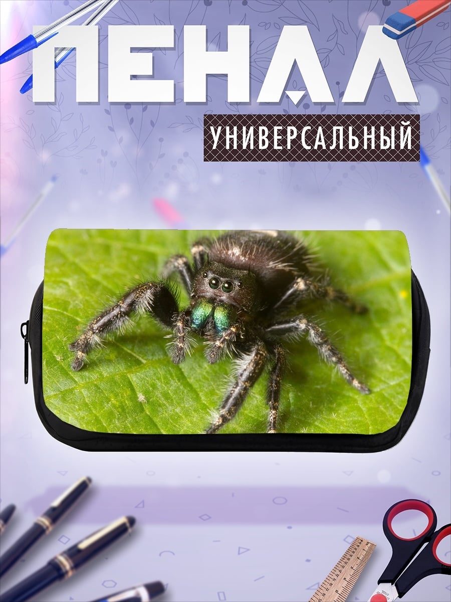 Пенал-косметичка Паук-скакун