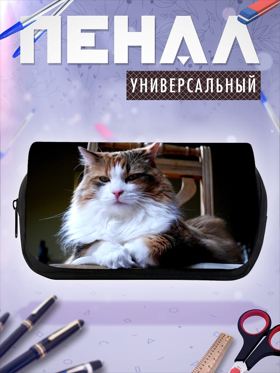 Пенал-косметичка Пушистый кот на стуле