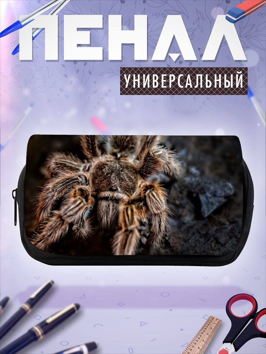 Пенал-косметичка Тарантул на камне