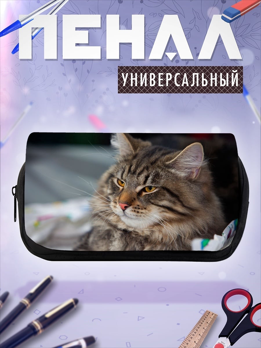 Пенал-косметичка Кот породы мейн-кун