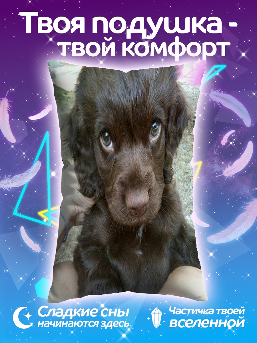 Подушка Щенячьи глаза