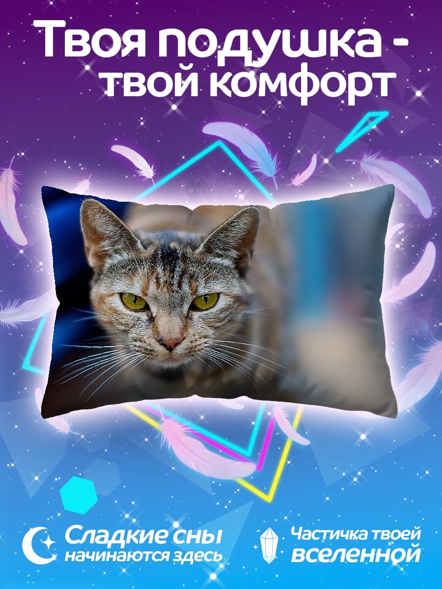Подушка Дракон и лиса