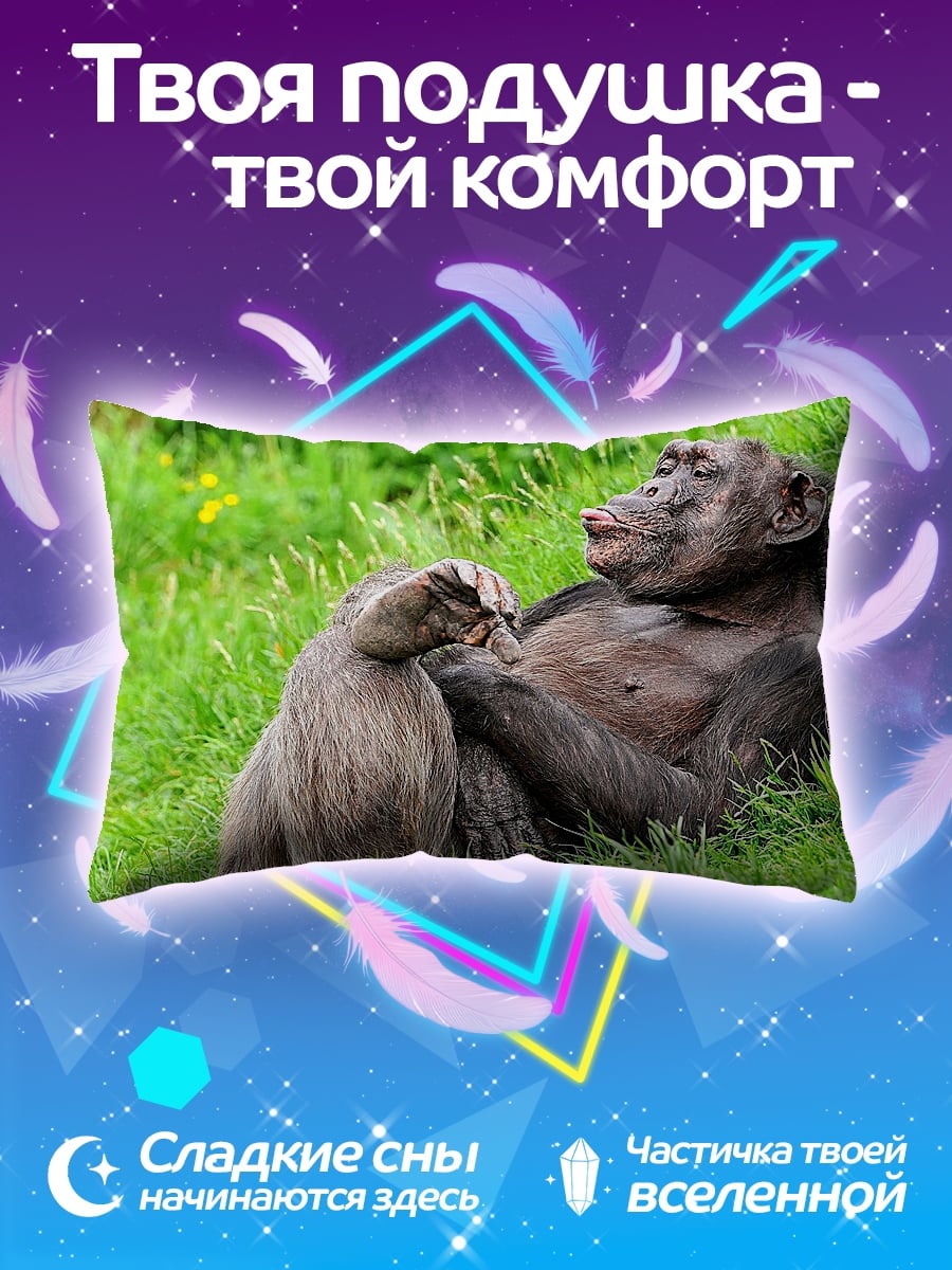 Подушка Шимпанзе и бабуин