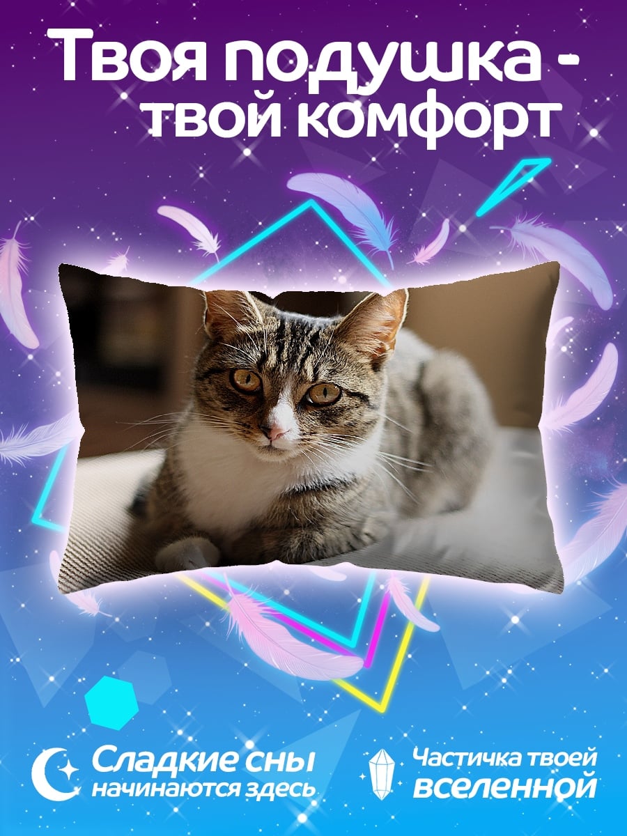 Подушка Полосатый кот лежит
