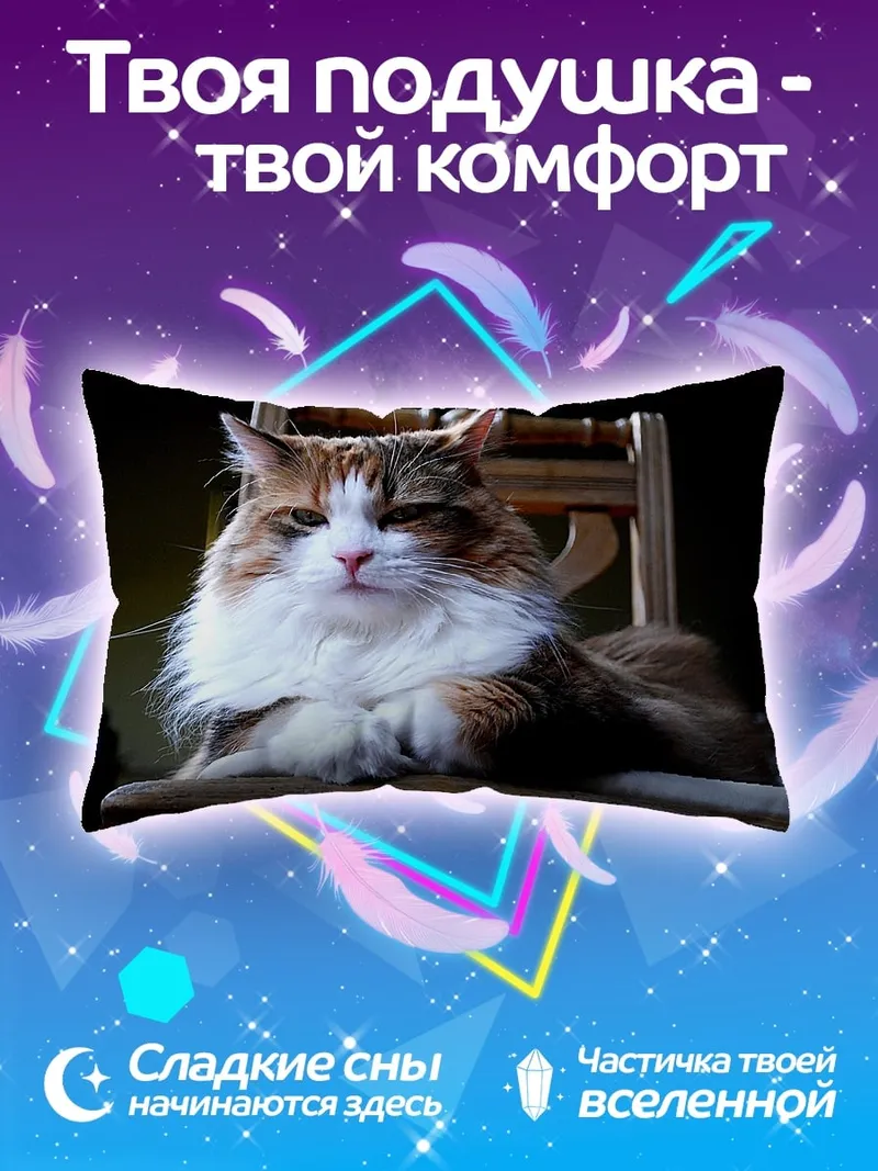 Подушка Пушистый кот на стуле