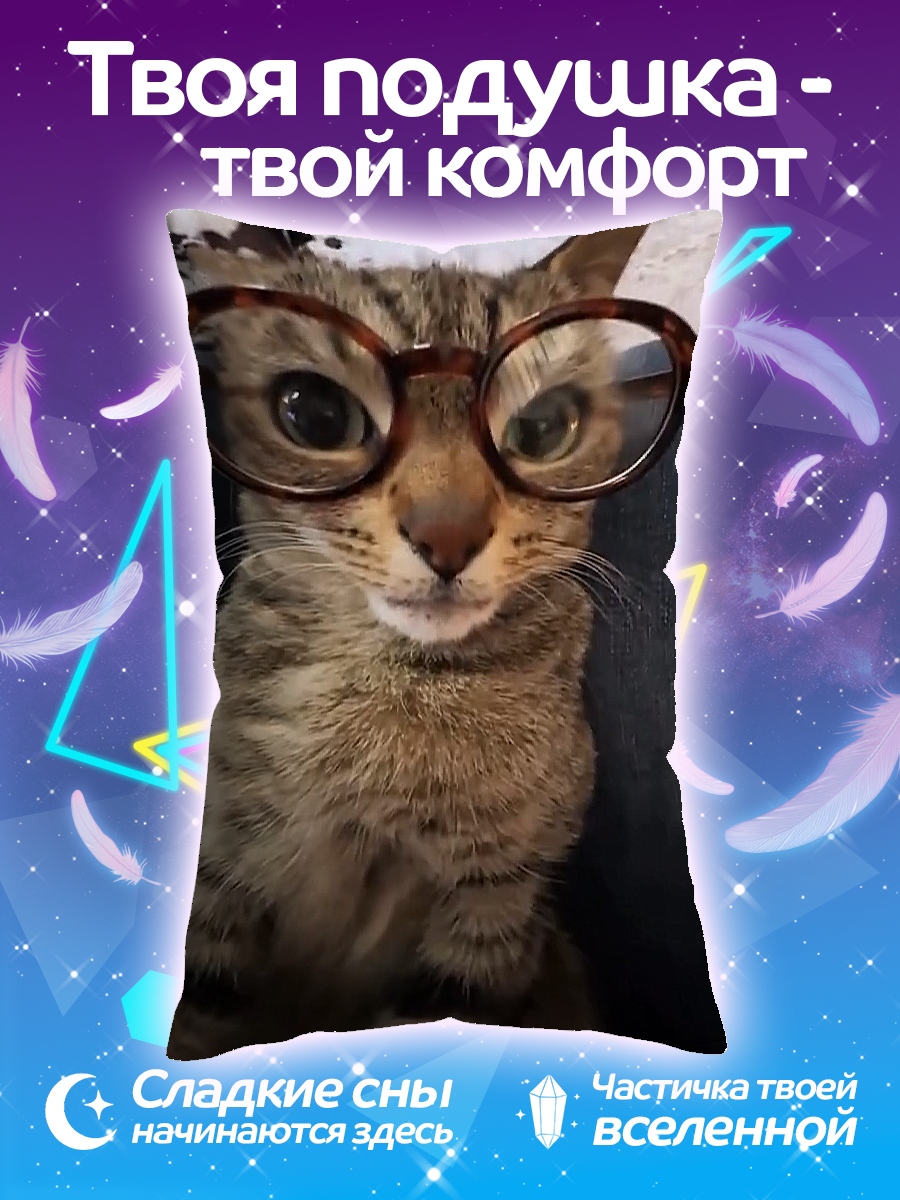 Подушка Кот в очках