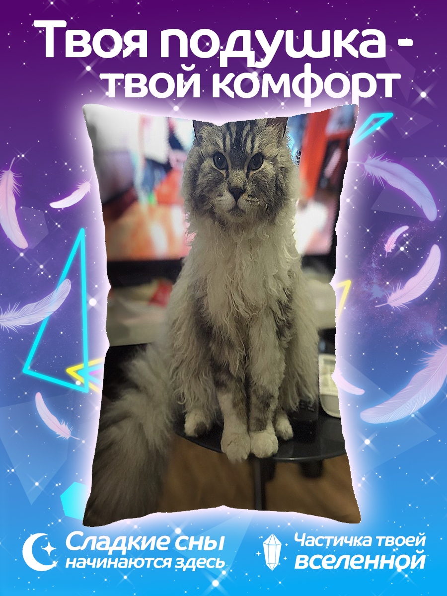 Подушка Пушистый кот сидит