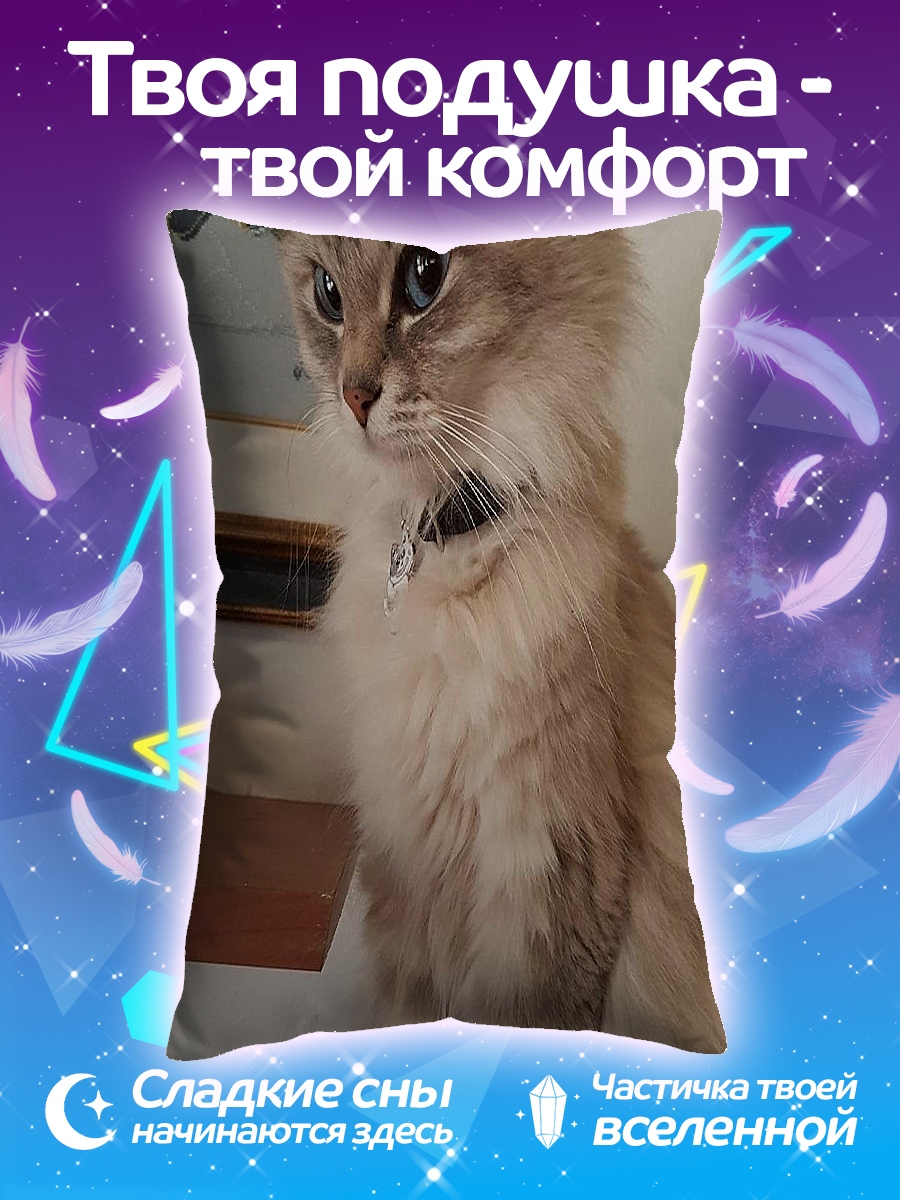 Подушка Пушистый кот сидит