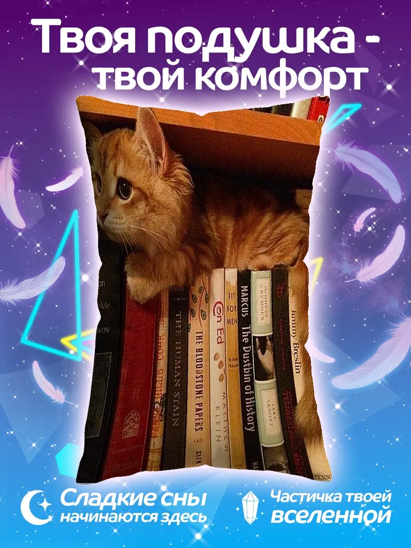 Подушка Кот на книжной полке