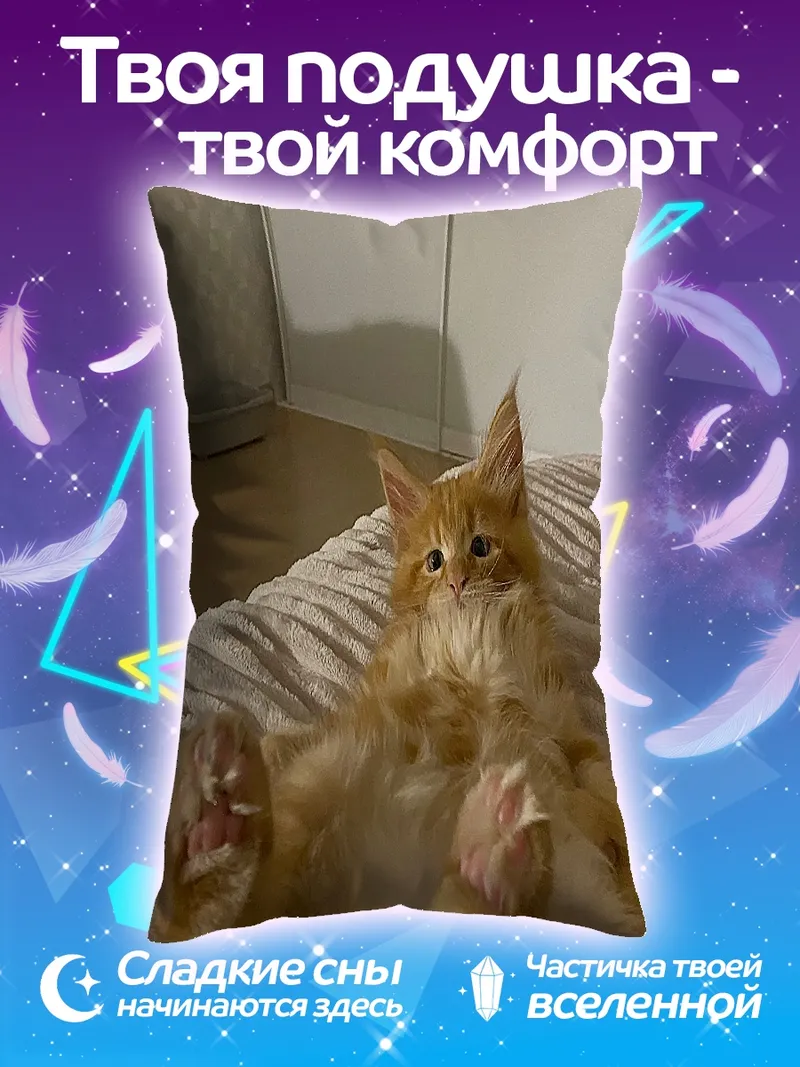 Подушка Рыжий кот лежит