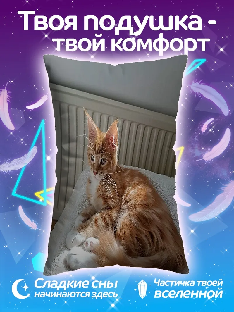 Подушка Рыжий котенок греется