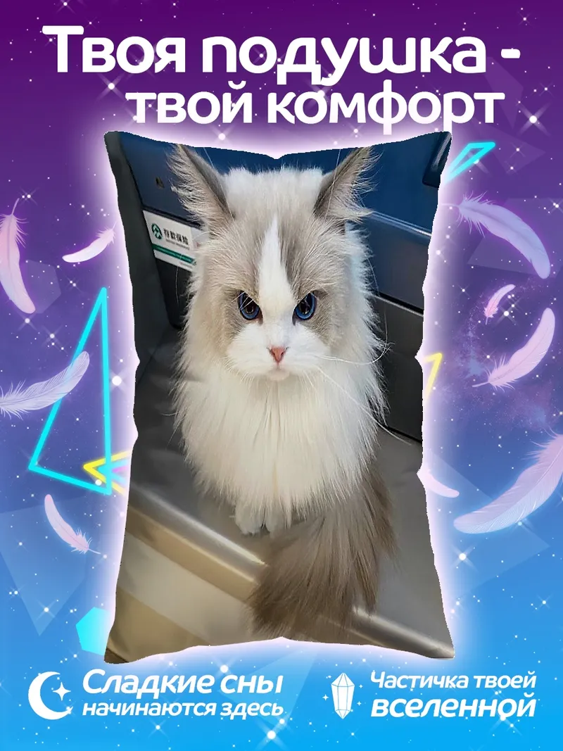 Подушка Сердитый кот породы рэгдолл