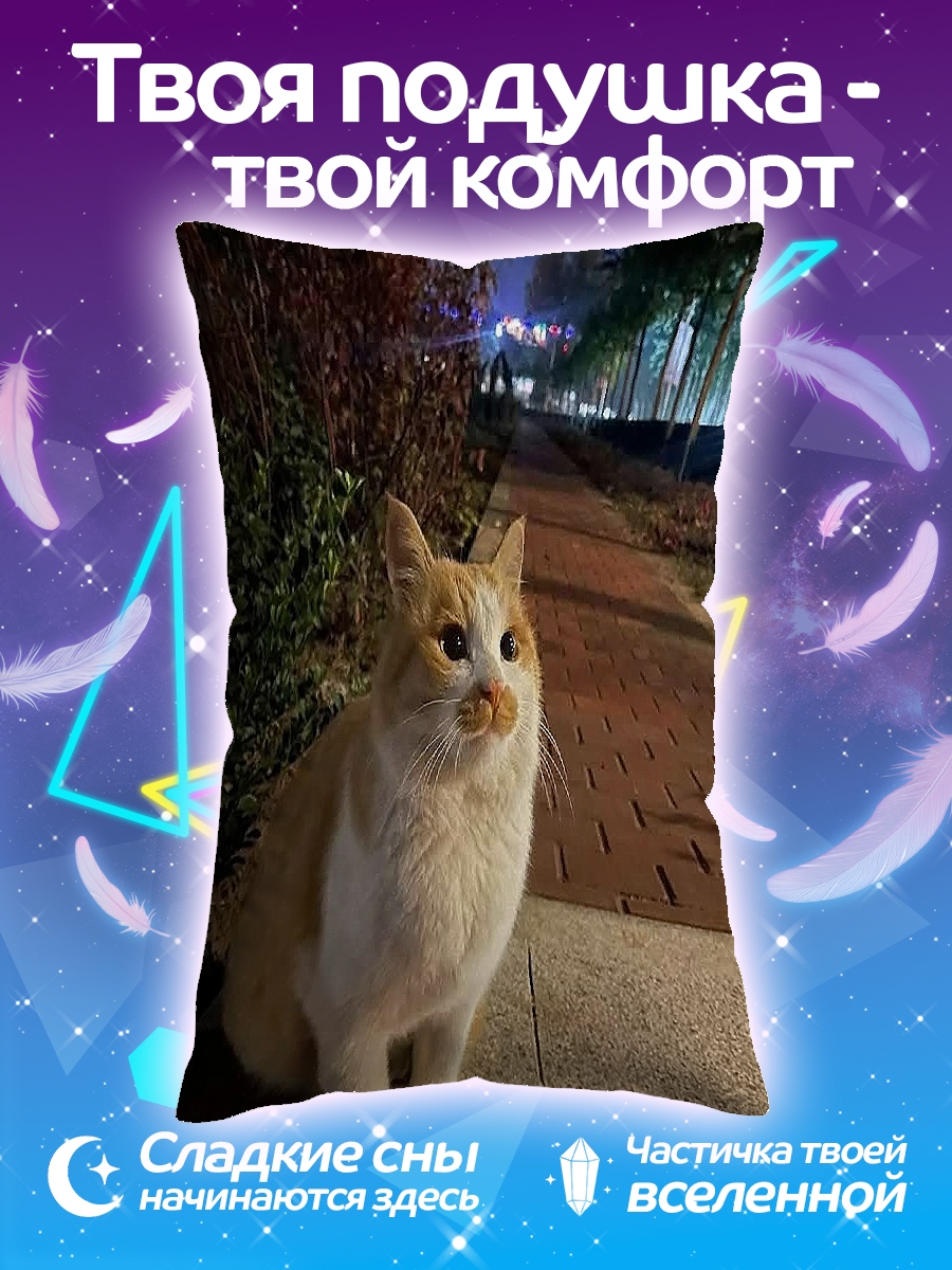 Подушка Кот на улице