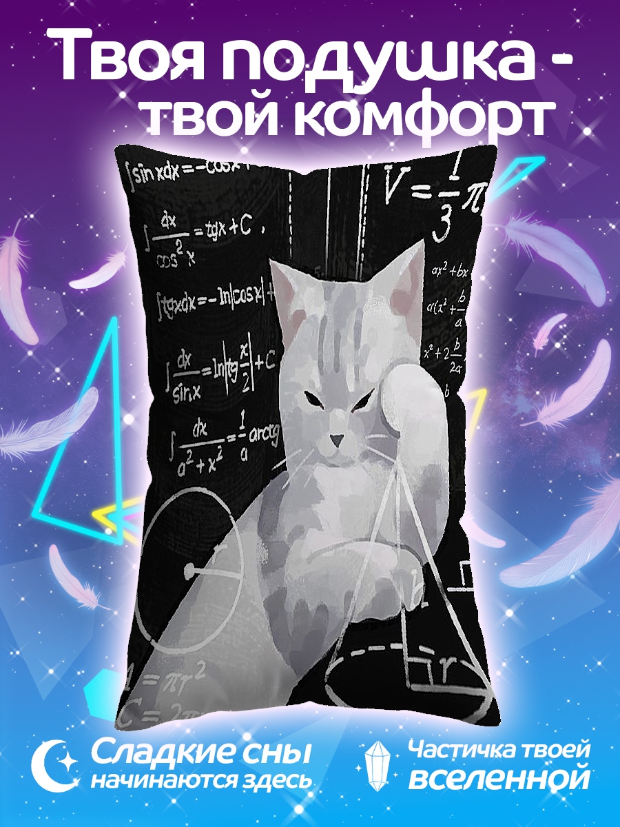 Подушка Кот математик